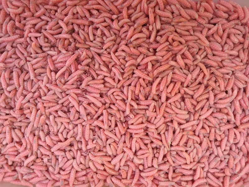 可降解塑料技术